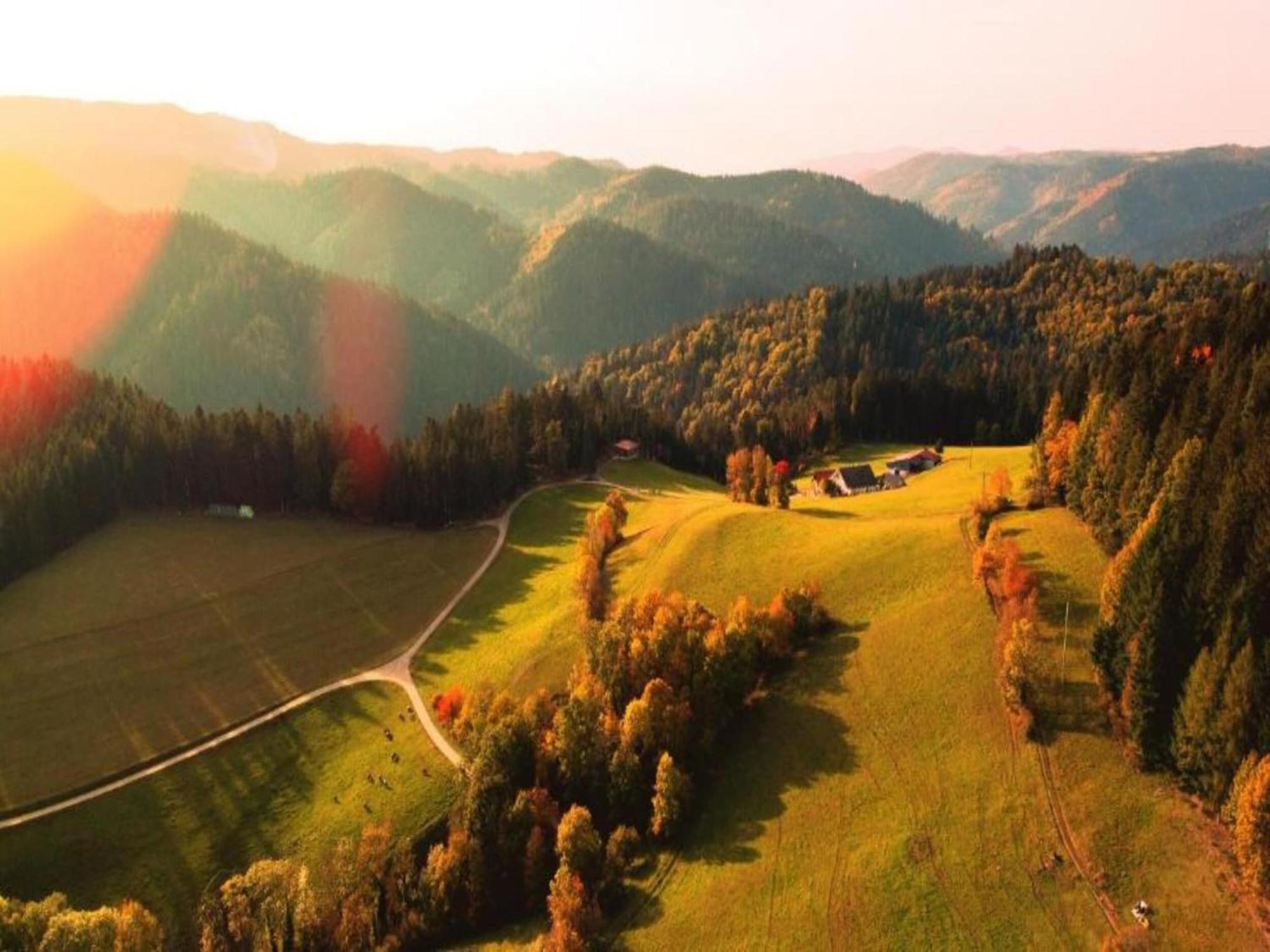 Lovely Apartment In The Black Forest 빌린겐슈베닝겐 외부 사진